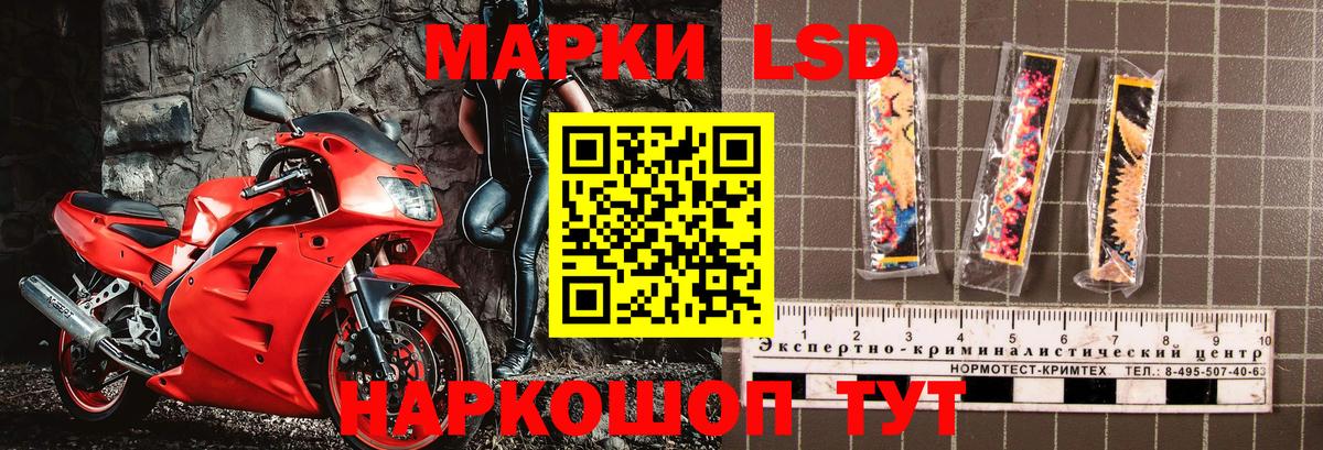 Наркотические марки 1,5мг  Наркотические марки 1,5мг  Канаш  Вход с VPN 