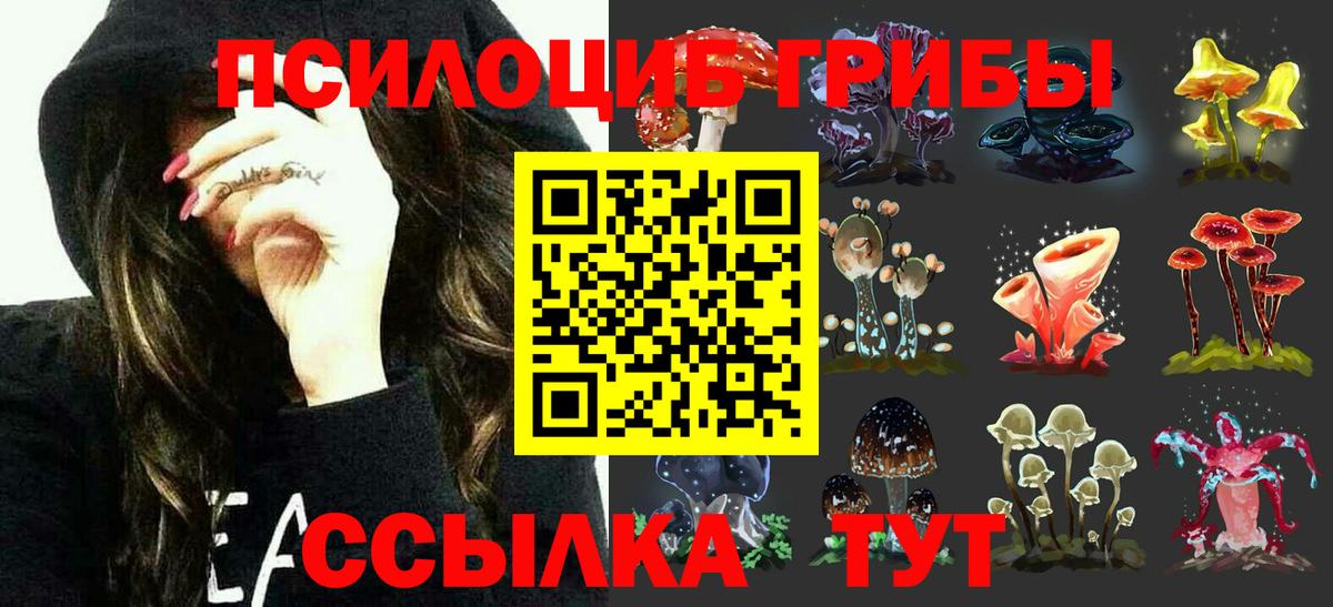 Галлюциногенные грибы Psilocybe Канаш