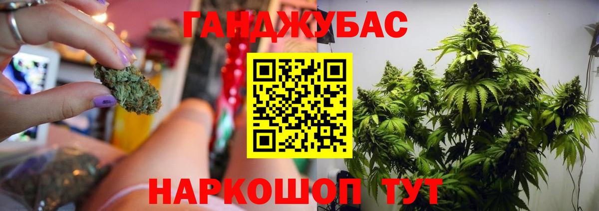 Каннабис сатива Канаш
